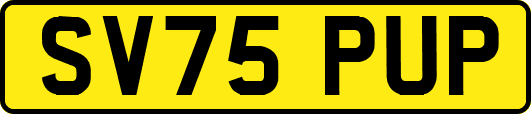 SV75PUP