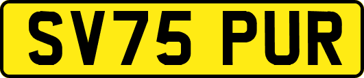 SV75PUR
