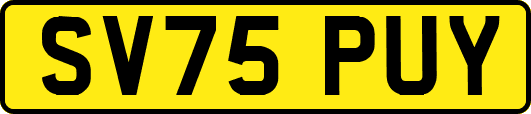 SV75PUY