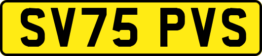 SV75PVS