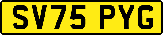 SV75PYG