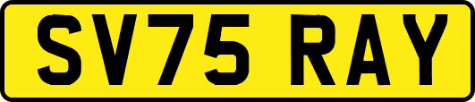SV75RAY