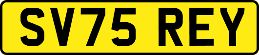 SV75REY