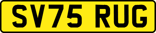 SV75RUG