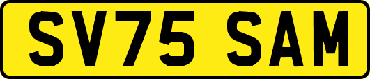 SV75SAM