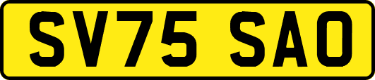 SV75SAO