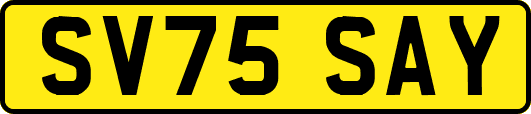 SV75SAY