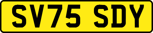 SV75SDY