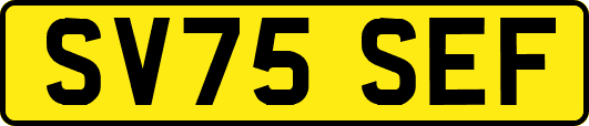 SV75SEF