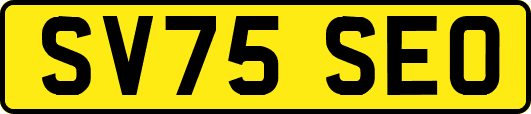 SV75SEO