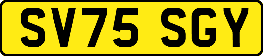 SV75SGY