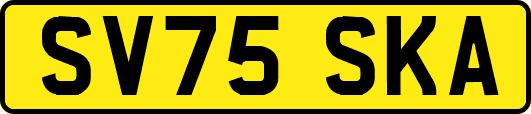 SV75SKA