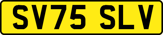 SV75SLV