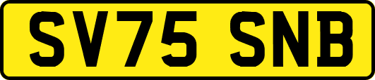 SV75SNB