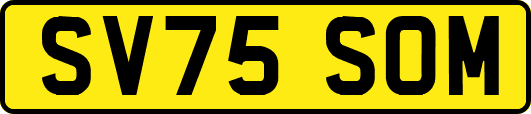 SV75SOM