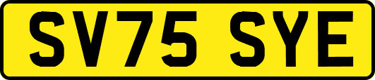 SV75SYE