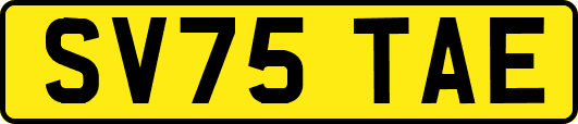 SV75TAE