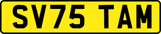 SV75TAM
