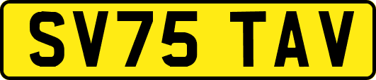 SV75TAV