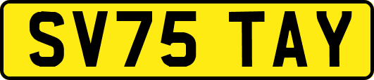 SV75TAY