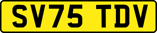 SV75TDV
