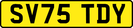 SV75TDY