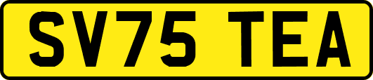 SV75TEA