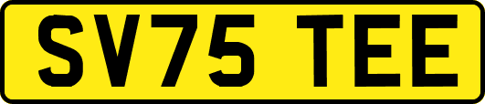SV75TEE