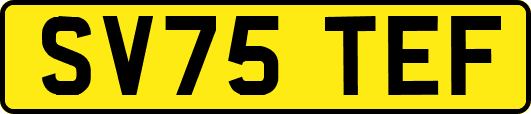 SV75TEF