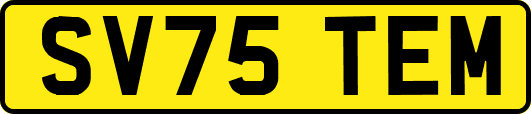 SV75TEM