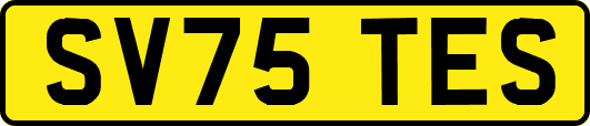 SV75TES