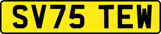 SV75TEW