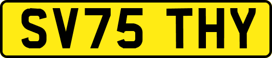SV75THY