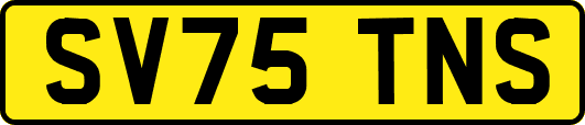 SV75TNS