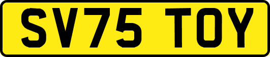 SV75TOY
