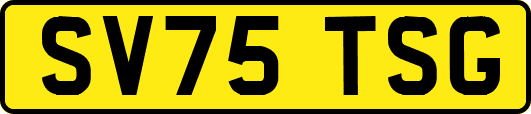 SV75TSG