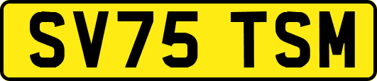 SV75TSM