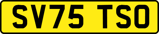 SV75TSO