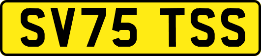 SV75TSS