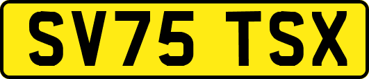 SV75TSX
