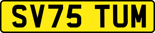 SV75TUM