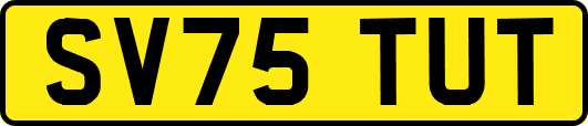 SV75TUT