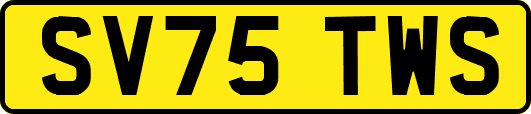 SV75TWS