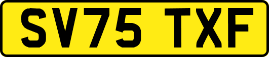 SV75TXF