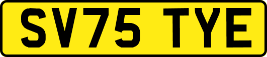 SV75TYE