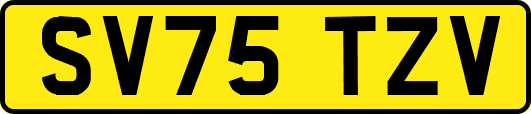 SV75TZV
