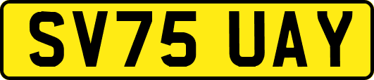SV75UAY