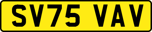 SV75VAV