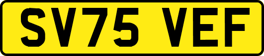 SV75VEF