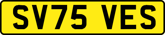 SV75VES